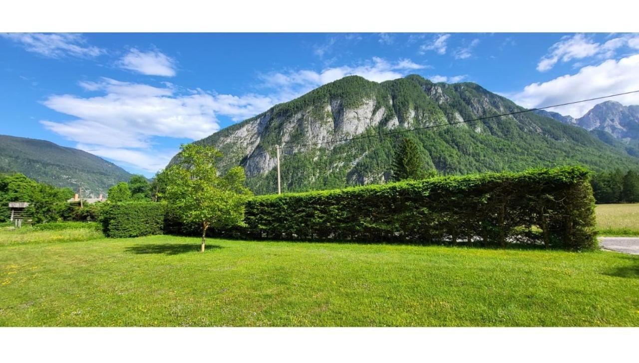 Villa Pocitniska Hisa Pr Puc Mojstrana Esterno foto